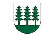 Mesto Detva