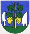 Obec Tekovské Nemce